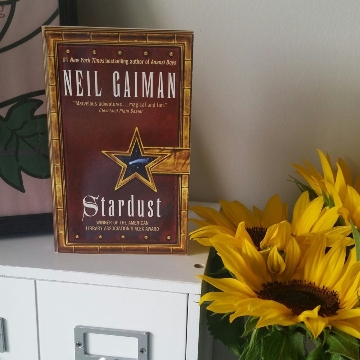 Book Review: Stardust